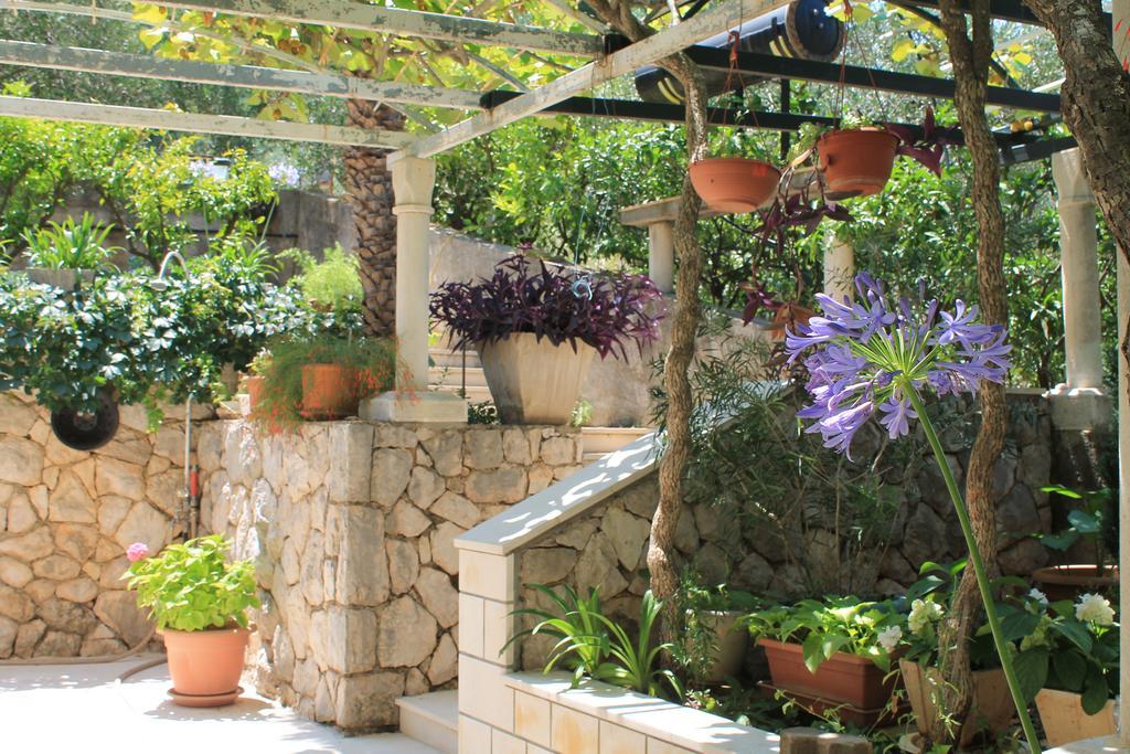Apartments And Rooms Villa Mir Zaton  Εξωτερικό φωτογραφία