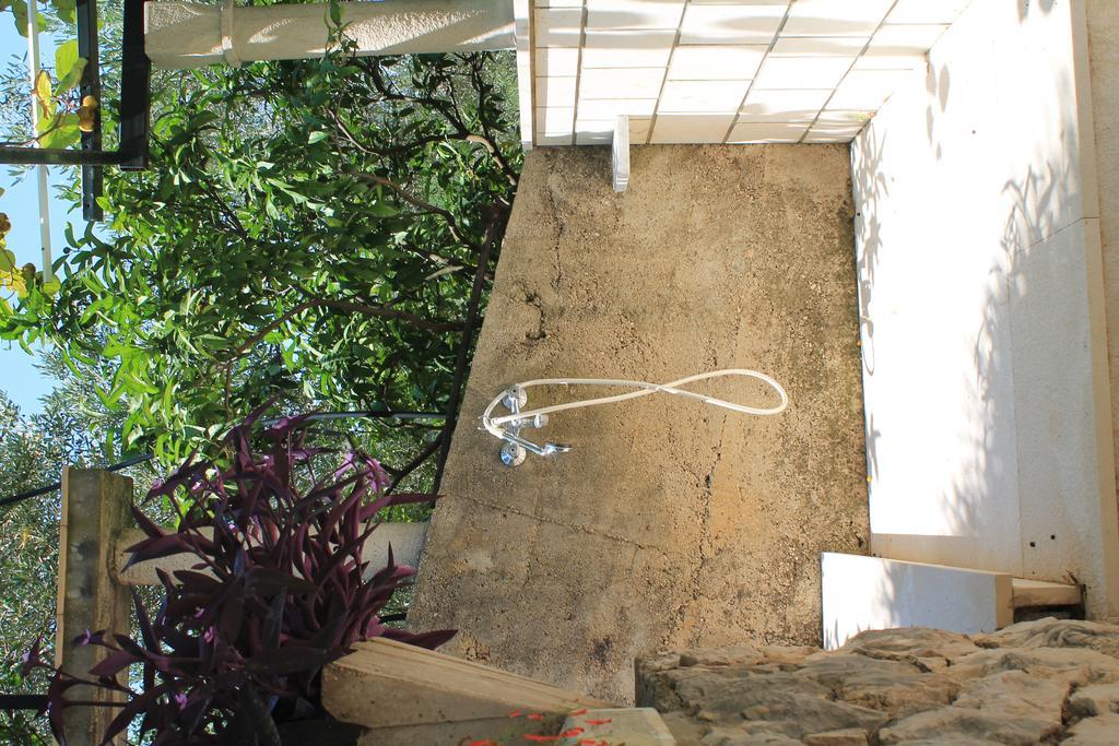 Apartments And Rooms Villa Mir Zaton  Εξωτερικό φωτογραφία