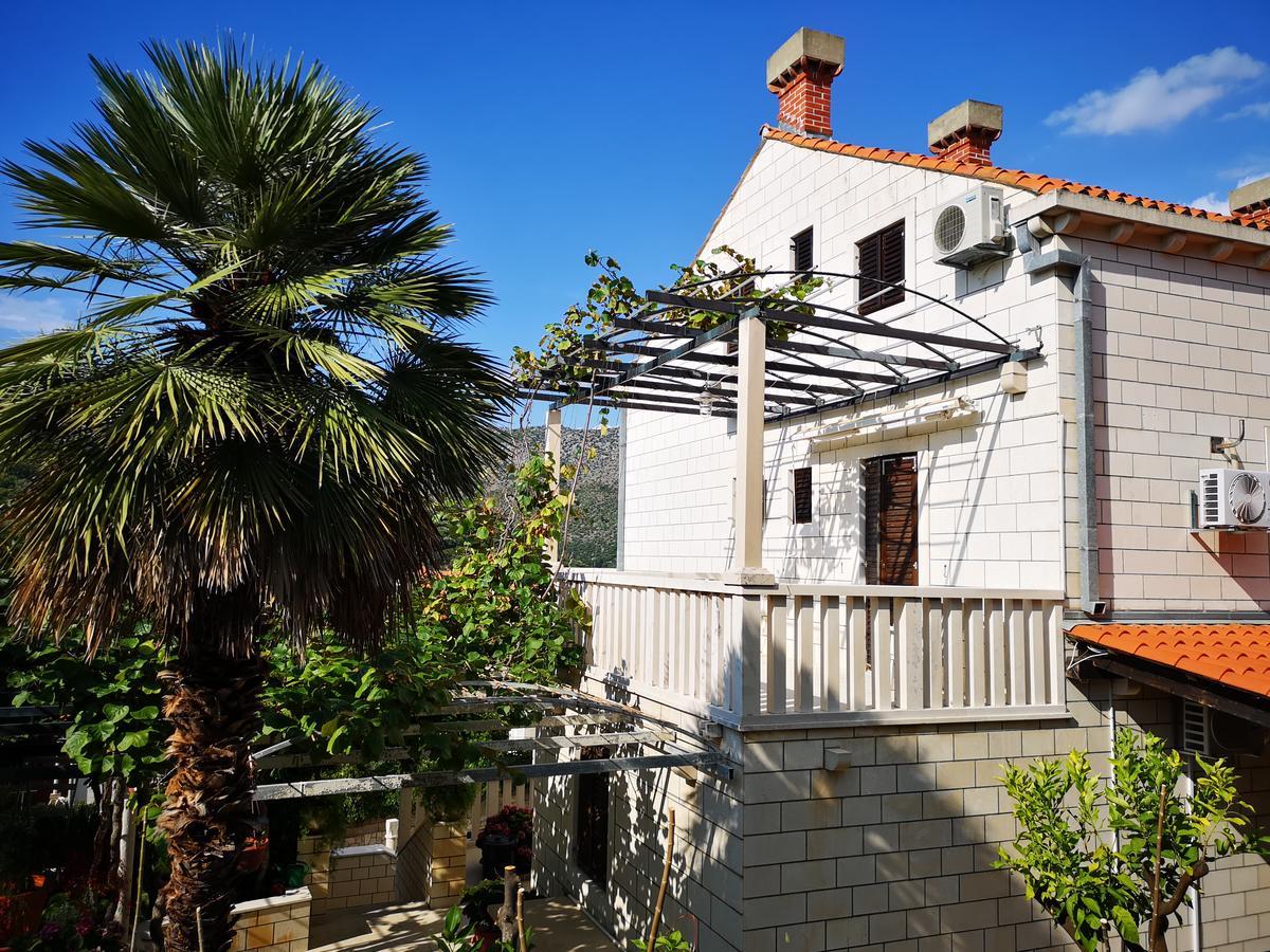 Apartments And Rooms Villa Mir Zaton  Εξωτερικό φωτογραφία
