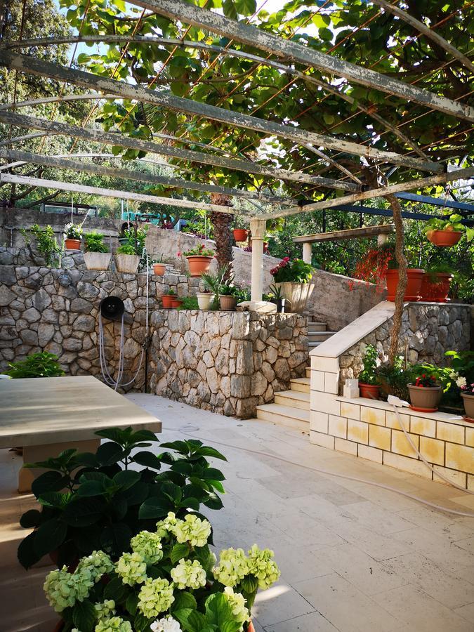 Apartments And Rooms Villa Mir Zaton  Εξωτερικό φωτογραφία